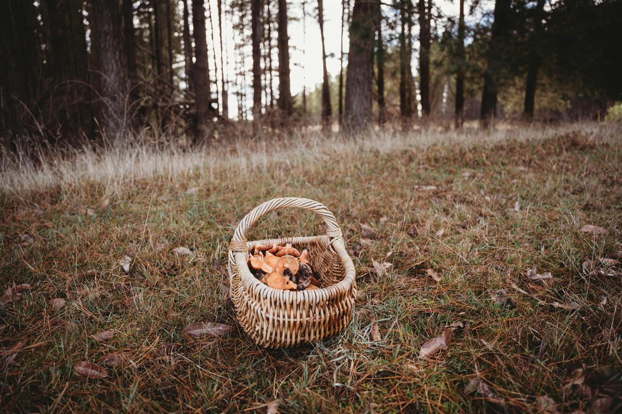Hævekurv - din guide til bedre bagning
